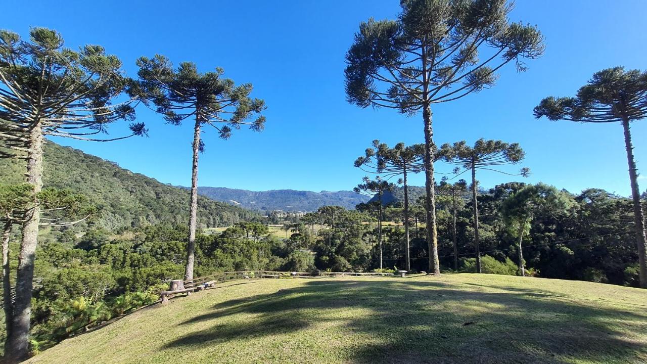 Casa De Campo Quinta Do Vale - Familia أوروبيسي المظهر الخارجي الصورة