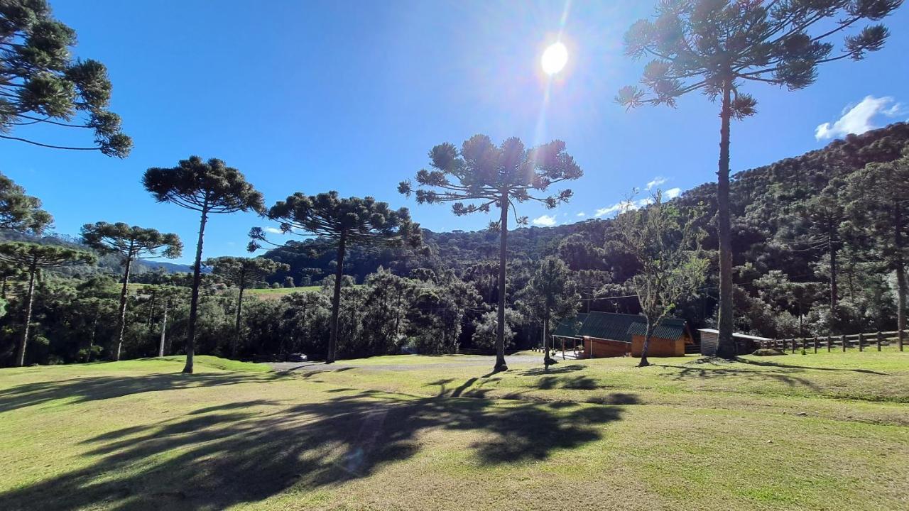 Casa De Campo Quinta Do Vale - Familia أوروبيسي المظهر الخارجي الصورة